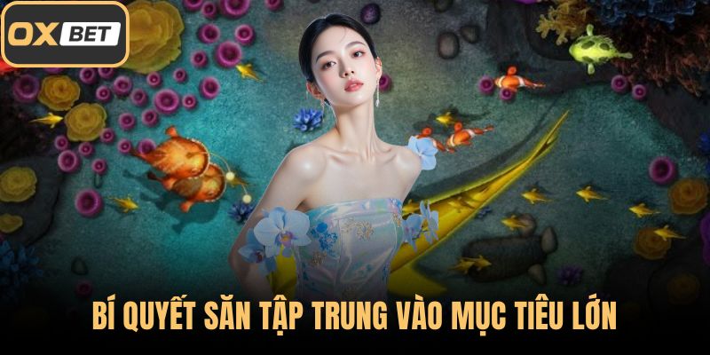 Bí quyết săn tập trung vào mục tiêu lớn