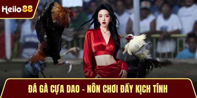đá gà cựa dao