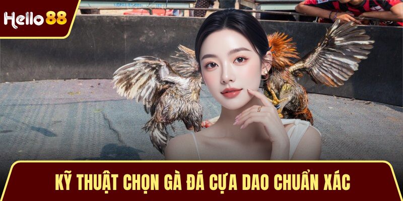 Kỹ thuật chọn gà đá cựa dao chuẩn xác