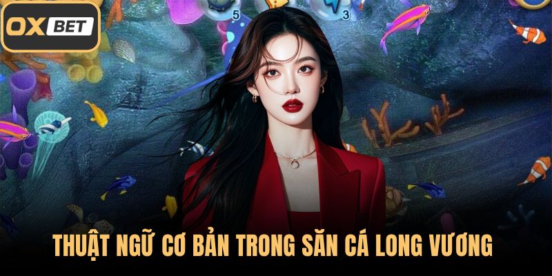 Thuật ngữ cơ bản trong săn cá Logn Vương