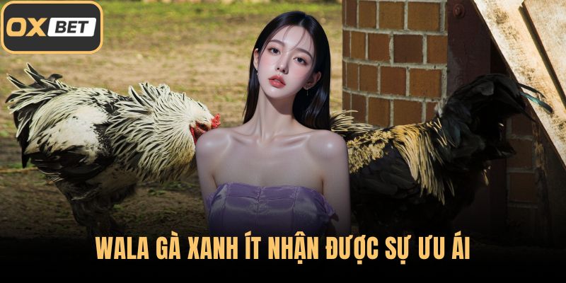 Wala gà xanh ít nhận được sự ưu ái